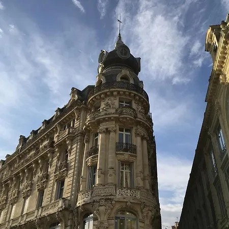 Hotel Les Myrtes Montpellier